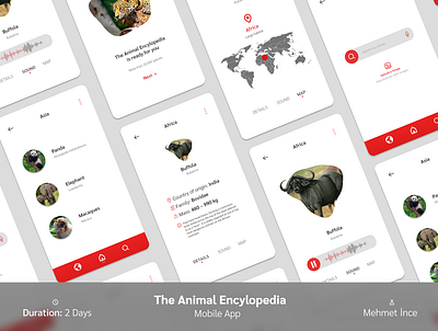 The Animal Encylopedia 3d android animal animals app bar branding design earth graphic design illustration mobile app socialmedia ui ux world