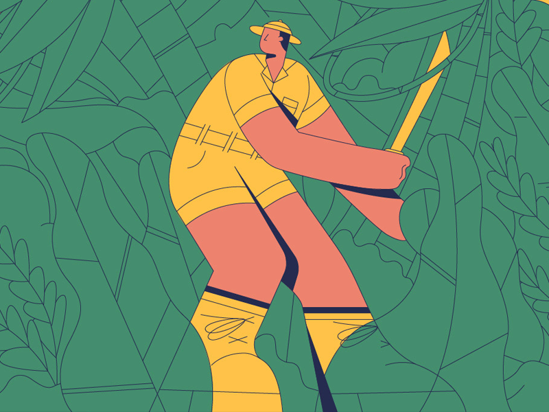 Jungle design animation motion design motion graphics character design storyboard style frame illustrator illustration 2d