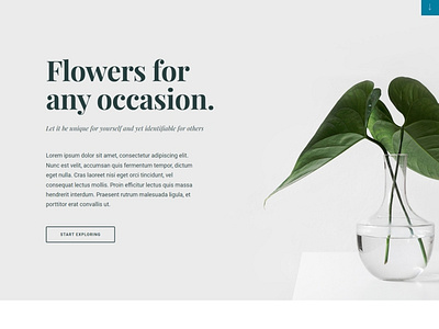 Alethea - wordpress Landing Page