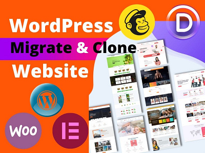 I will setup wordpress clone and migrate website manually