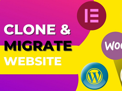 I will setup wordpress clone and migrate website manually