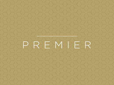BCU Premier Branding gold gotham pattern simple typography wordmark