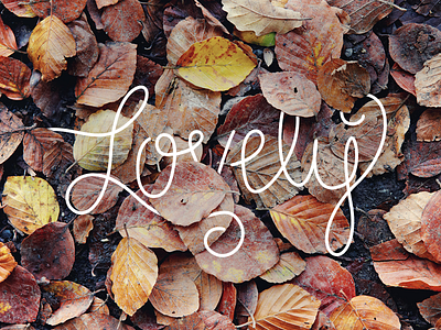 This time of year is... custom type fall hand lettering illustration lovely photography
