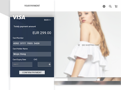 Credit Card Checkout #002 daily UI