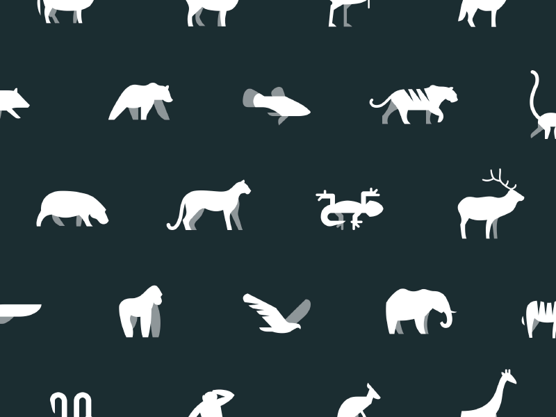 Zoo Animals by Gardner Design on Dribbble