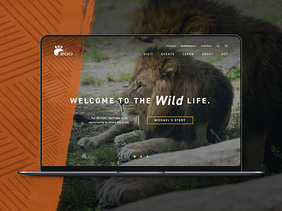 Zoo Website interactive safari web website wild wildlife zoo