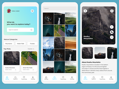 Nature exploration- Mobile UI Design app branding design mobileui modern nature ui