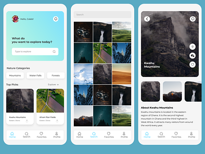 Nature exploration- Mobile UI Design