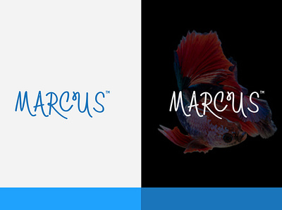 MARCUS LOGO branding company logo design fishes food illustration illustrator logo logos typography vector