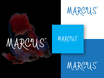 MARCUS LOGO DESIGN branding company logo design fish fish logo fish logo 99designs fish logo colors fish logo idea fish logo image fish logo png fish logo vector fish logoidea fish logos logo marcus logo design marcus logo design