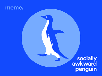 Socially Awkward Penguin advice animal awkward blue meme penguin
