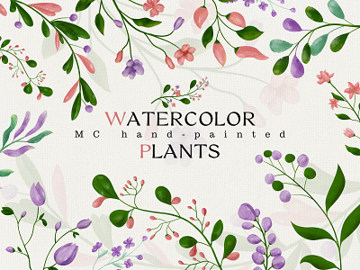 hand drawn plants design graphic design illustration logo