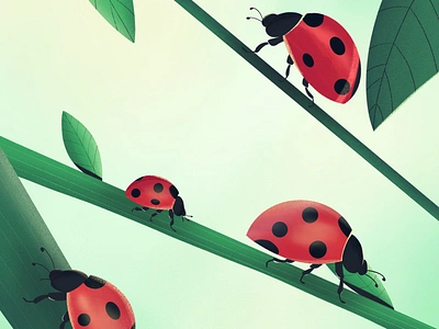 Ladybugs design environment graphic design illustration insects ladybug ladybugs lukky nature plants procreate