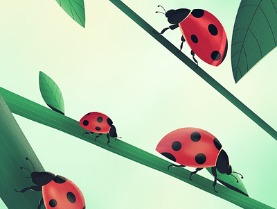 Ladybugs design environment graphic design illustration insects ladybug ladybugs lukky nature plants procreate