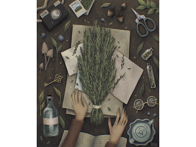 Witch finds bookillustration cozy flatlay forest illustration magic nature witch witchcraft