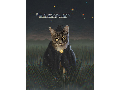 Fairy cat bookillustration cat forest illustration magic postcard