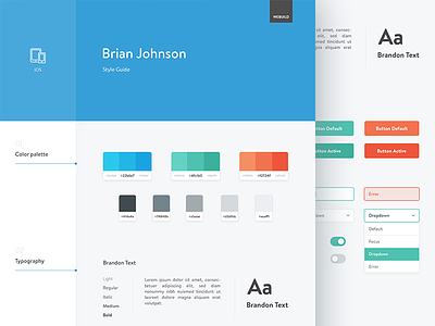 Style Guide colors icons style guide ui elements