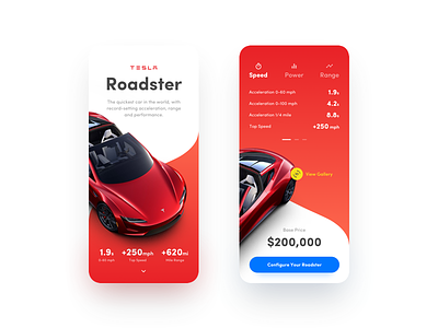 Tesla Roadster – Experimental Project