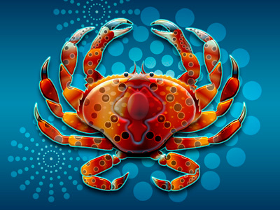 Dungeness crab crab dungeness crab illustration vector