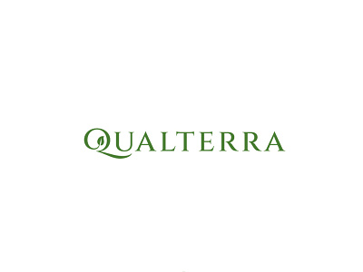 Qualterra Logo branding design logo personal typography vector