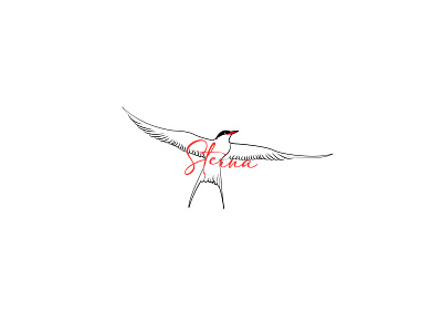 Sterna analize analyse bird black brand branding feather fly identity logo logobird red sky white