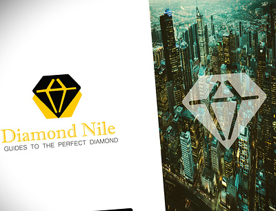 Diamond Nile Logo 3d branding business card cover photo design graphic design icon illustration illustrator logo mockup poster thumbnail typography vector