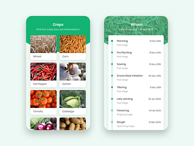 Crop Lifecycle agriculture android app crop lifecycle ux design uxui