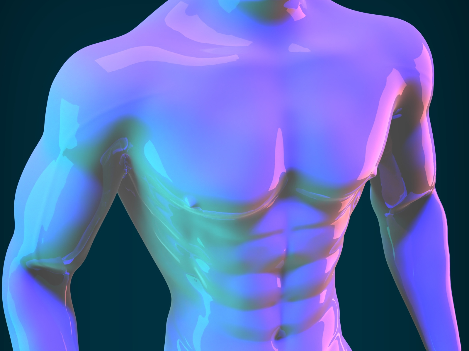 Male_Body_3D_Model by Shaimul Darick Sarker on Dribbble