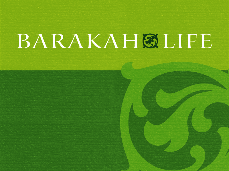 Barakah Life Business Card (1/2) rumi barakah business cards stationery print print design logo mark logo type logo branding brand graphic design