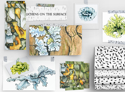 Lichens on the surface botanical flora floral gouache illustration lichens nature organic watercolor