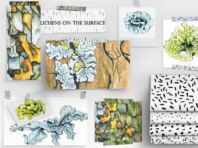 Lichens on the surface botanical flora floral gouache illustration lichens nature organic watercolor