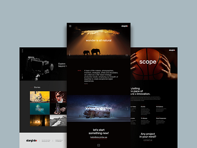 Storytribe website branding ui ux website design