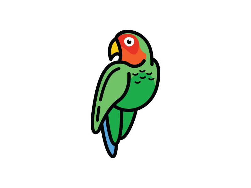 Parrots illustration parrots
