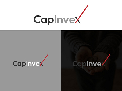Investment Company Logo branding graphic design logo