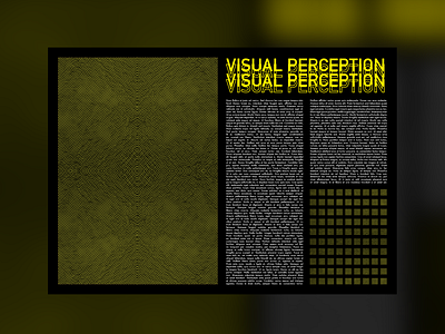 Visual Perception