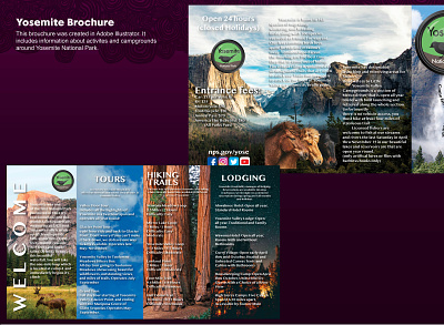 Yosemite National Parks Brochure design graphic design indesign national parks photoshop