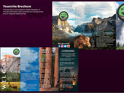 Yosemite National Parks Brochure