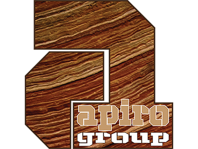 Apiro illustrator logos retro