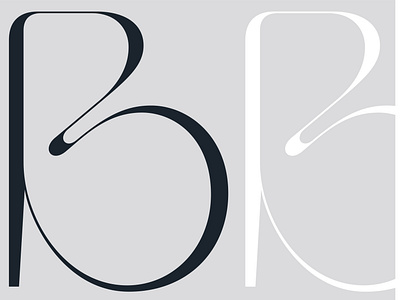 Custom type work for B-Lumen