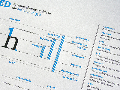 Typography Deconstructed - Closeup
