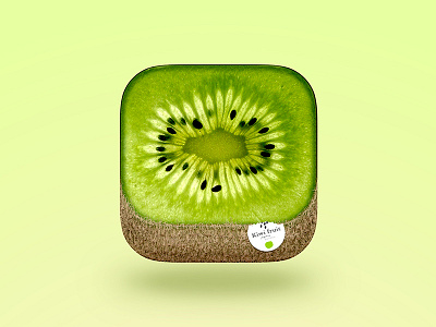 Kiwi fruit experience graphical icon icons interface ui user