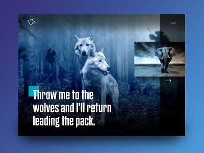 Throw Me To The Wolves animal blue danger elephant forest motivational night wild wolf wolves
