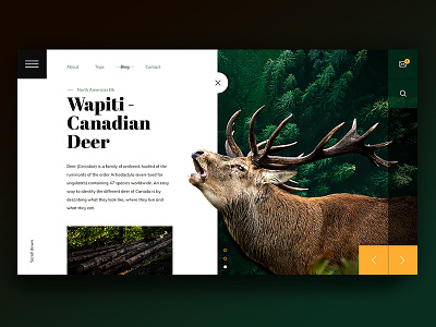 The Deer creative deer forest graphics green landing page photoshop ui ux wapiti web website yellow
