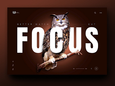 Focus animal beige brown dark focus inspiration owl ui ux wild