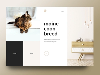 Maine Coon Breed animal beige breed brown cat design furniture maine coon minimal pet shop ui ux