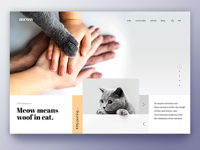 Meow" means "Woof" in cat. animal cat clean creative design dog family inspiration landing page love purple ui uiux ux webdesign