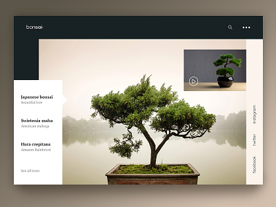 Bonsai beautiful bonsai design green landing page nature plant slider tree ui uiux ux webdesign website
