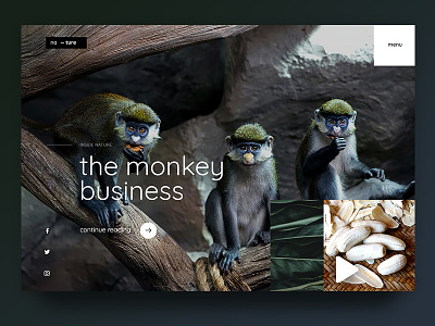 Monkey Business animal creative design forest green jungle love monkey nature ui uiux ux web page website