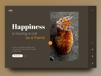 Cat animal beige cat creative friend happiness love orange pet ui ux web page website