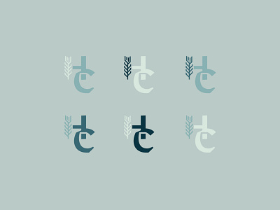 Exploring Monograms blues branding church design graphic design illustration logo midwest monogram